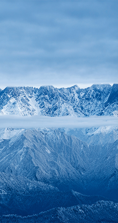 关于太阳成集团122ccvip